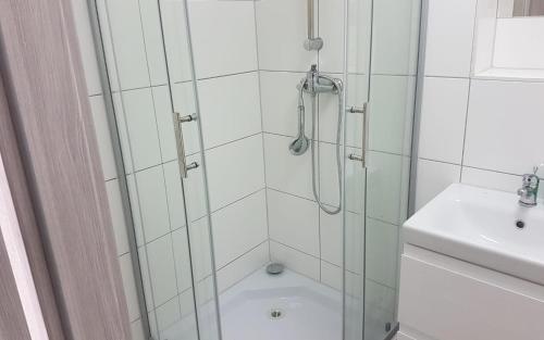 a bathroom with a shower and a toilet and a sink at Neuburg Apartment am Schloss in Neuburg an der Donau