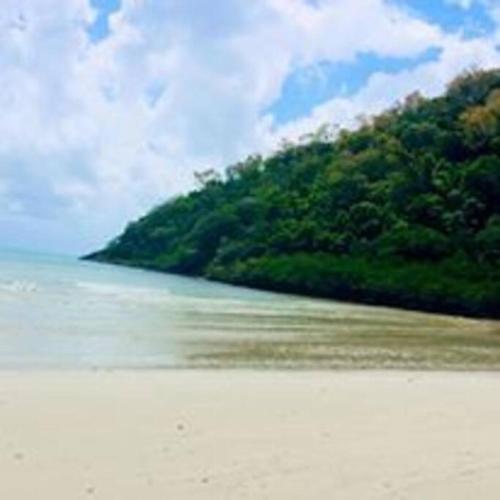 a view of a beach with trees and the ocean at Charming 1 bedroom Apt - Close to Town & Beach in Port Douglas