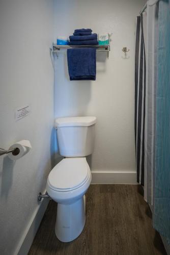 a bathroom with a white toilet and a shower at Gannett Peak Lodge in Pinedale