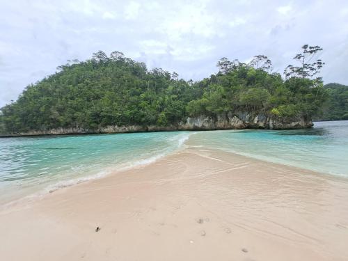 a beach with a small island in the ocean at Raja Ampat Jousuba Homestay in Minyaifuin