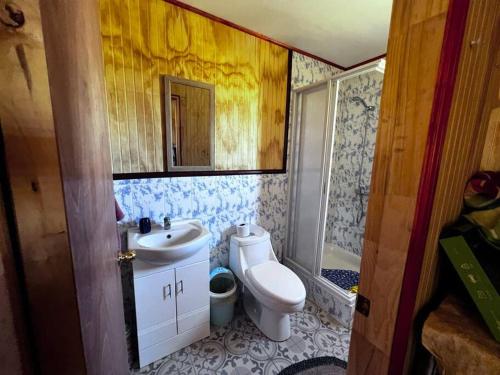 een badkamer met een toilet, een wastafel en een douche bij Lugar de descanso, con Tinaja al aire libre. in Llanquihue