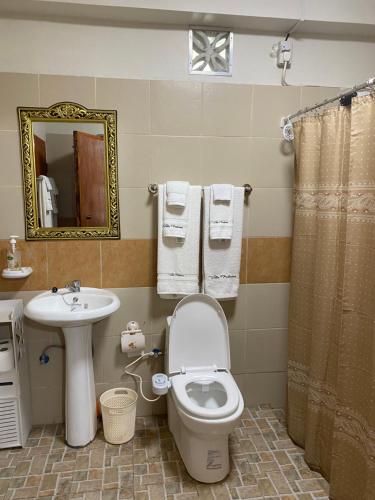 La salle de bains est pourvue de toilettes, d'un lavabo et d'un miroir. dans l'établissement Villa Palanca, à Candelaria
