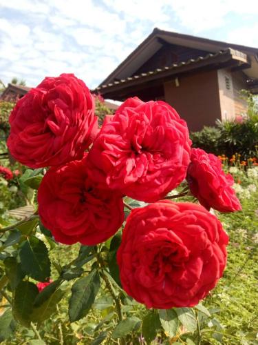 Ein Garten an der Unterkunft Pang Chompu