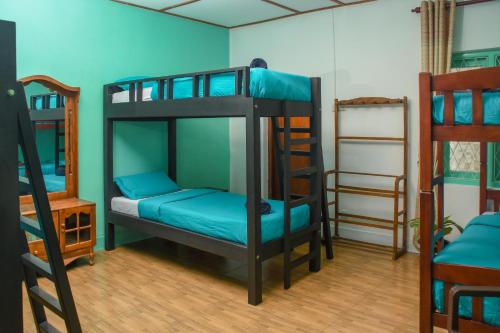 a room with bunk beds with blue walls and wooden floors at Gregory House Hostel in Nuwara Eliya