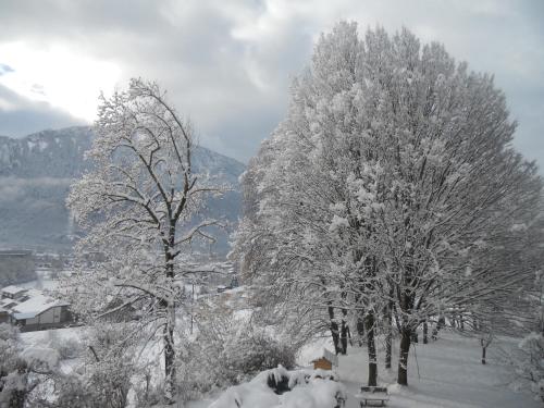 a group of trees covered in snow at Hotel Bellevue in Ayse