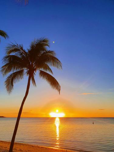 a palm tree on a beach with a sunset at Malvilla in Pereybere