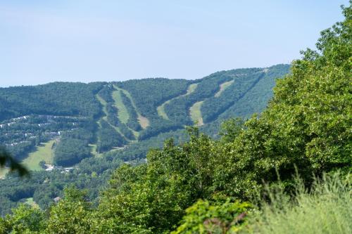 auliculiculiculiculiculiculiculiculiculiculiculiculiculiculic at Mt Views - Sauna - Hot Tub - Adulting - Family Fun in Massanutten