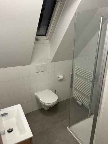 un baño con inodoro y lavabo en ApartMENTZ - Zimmervermietung, en Sankt Peter ob Judenburg