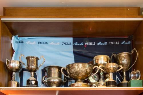 a group of trophies on a wooden shelf at Kettles Country House Hotel in Swords