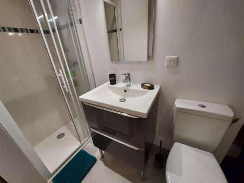 une salle de bain avec un lavabo, une douche et des toilettes dans l'établissement Charmante maison 2 pièces cabine 6 personnes, proche mer et étang, terrasse avec BBQ - FR-1-326-752, à Marseillan