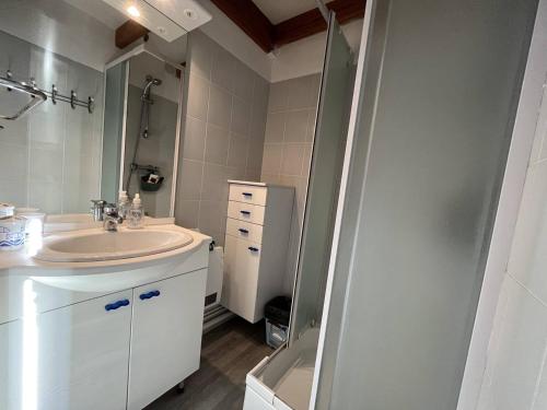 uma casa de banho branca com um lavatório e um espelho em Appartement Saint-Pierre-d'Oléron, 2 pièces, 4 personnes - FR-1-246A-170 em Saint-Pierre-dʼOléron