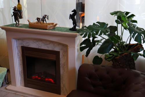 a living room with a fireplace and a plant at Schwarzes Ross Hotel & Restaurant Oberwiesenthal in Kurort Oberwiesenthal