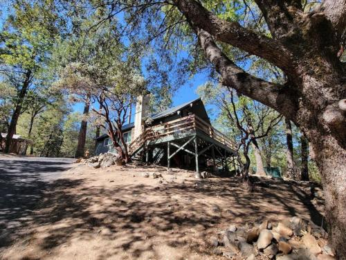 Charming Cozy Lake Cabin in the Woods - Bass Lake