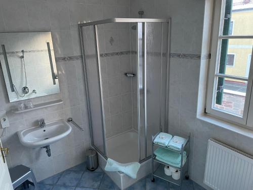 a bathroom with a shower and a sink at Landgasthof Meisel in Kalchreuth