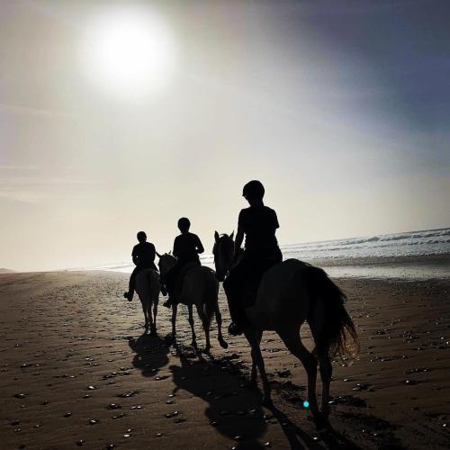 un gruppo di persone che cavalcano sulla spiaggia di DreamCatcher Homes a Mirleft