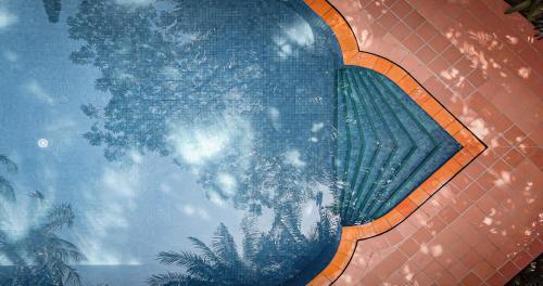 a reflection of a palm tree in a pool at Angkor Village Hotel - Small Luxury Hotels of the World in Siem Reap
