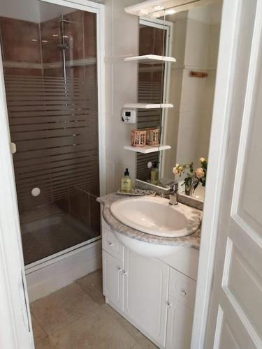 une salle de bain avec un lavabo et une douche dans l'établissement Le gîte d'Eva, à Honfleur