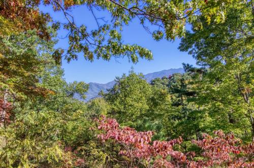 a forest of trees with mountains in the background at Gatlinburg Views A Unique Cabin Mountain Views Expansive Decks Adjacent To Gatlinburg & Ski Lodge cabin in Gatlinburg