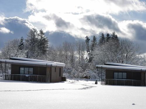 Quelques bâtiments dans la neige avec des arbres dans l'établissement Auvergne chalets Sancy, à Bagnols
