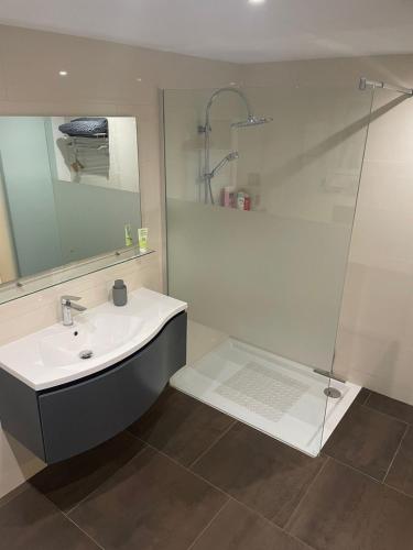 a bathroom with a sink and a glass shower at Gemütliche Ferienwohnung in Wernigerode