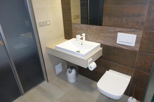 Un baño con lavabo, inodoro y ducha. en Penzion Vrtule, en Voleč