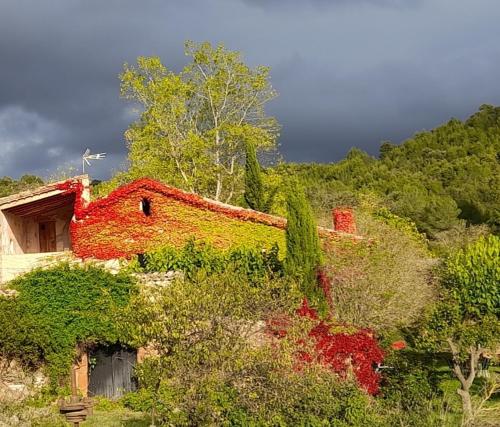 una casa vieja cubierta de vegetación verde y roja en Masia Vilatersana en Sant Llorenc Savall