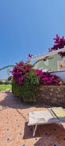 a stone wall with purple flowers on a building at Hotel Albatros in Ischia