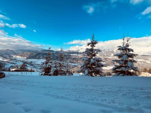 Haus an der Planai (Pistenzugang & Panoramablick) durante o inverno