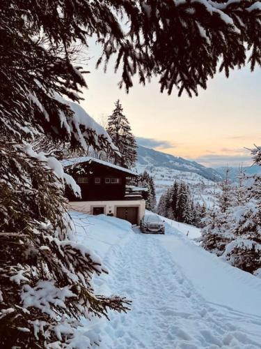 Haus an der Planai (Pistenzugang & Panoramablick)