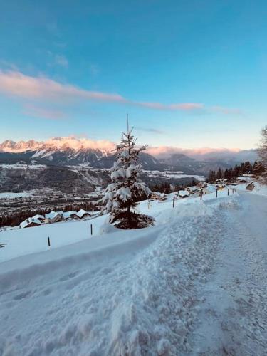 a snow covered path with a christmas tree on a mountain at Haus an der Planai (Pistenzugang & Panoramablick) in Schladming