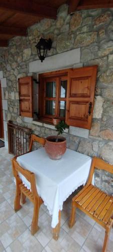 a table with a potted plant sitting on top of it at Ξενώνας Ερυκίνη in Dhímitra