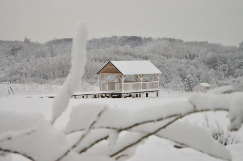 a gazebo covered in snow in a field at Sztukówka Winery in Frysztak