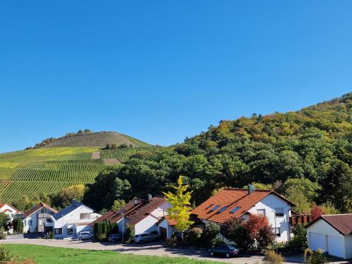 a row of houses in front of a hill with vineyards at Villa Clee Ferienwohnungen in Cleebronn