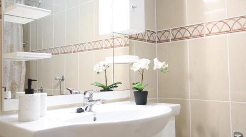 Visconde By Albufeira Rental