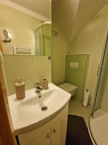 a bathroom with a sink and a toilet and a mirror at Wellness hotel Chata Jana in Lopeník