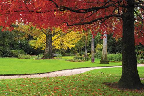 a park with trees with red and yellow leaves at Quest Albury on Townsend in Albury