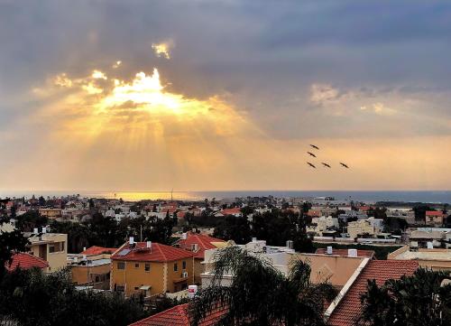 a group of birds flying in the sky over a city at 2 bedroom apartment in Atlit, Haifa district in Atlit