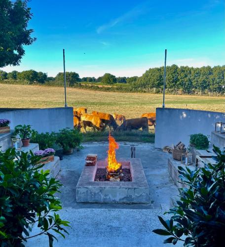 a fire pit in a yard with a field in the background at Villa Brunnby in Mölle