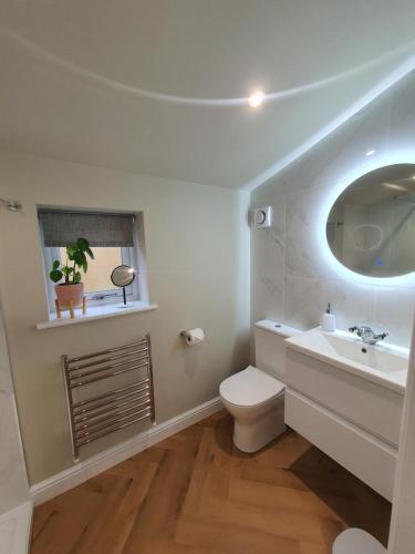 a bathroom with a toilet and a sink and a mirror at Wheelwright's Rest, Legbourne, Louth in Louth