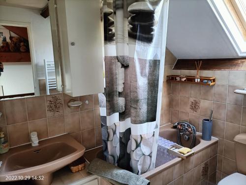 uma casa de banho com um lavatório e uma cortina de chuveiro em GÎTE DE CHARME , F2 Duplex 37 m2 , SUD , à THORENC - ANDON 06 em Andon