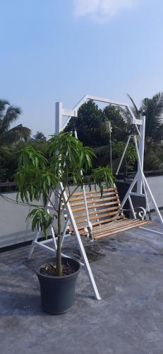 Southern villa – Photos 3
