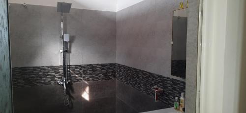 La salle de bains est pourvue d'une douche, d'un lavabo et d'un miroir. dans l'établissement Southern villa, à Wadduwa