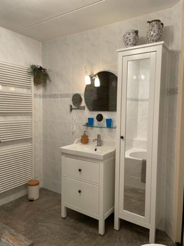 een witte badkamer met een wastafel en een douche bij Bed and breakfast devijfbees in Barendrecht