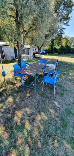 Camping Pilzone – Photos 5