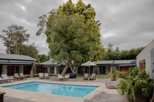 a swimming pool with a tree in the background at Aan de Eike Guest House in Swellendam