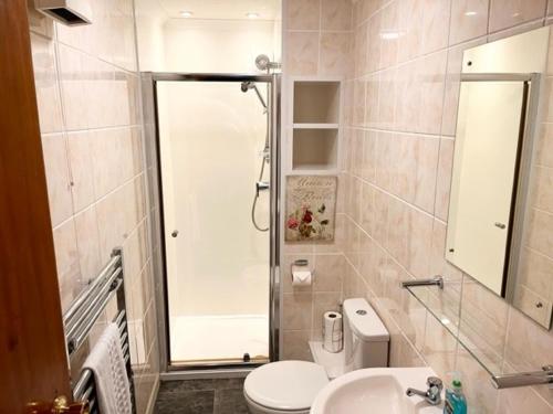 a bathroom with a shower and a toilet and a sink at Capstone View in Ilfracombe