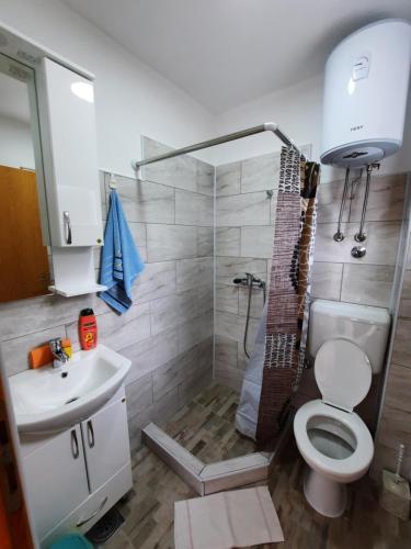 uma casa de banho com um chuveiro, um WC e um lavatório. em Apartmani Biser Drine em Foca