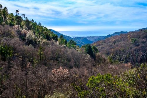 Caravane Tranquillou Bilou – Photos 4