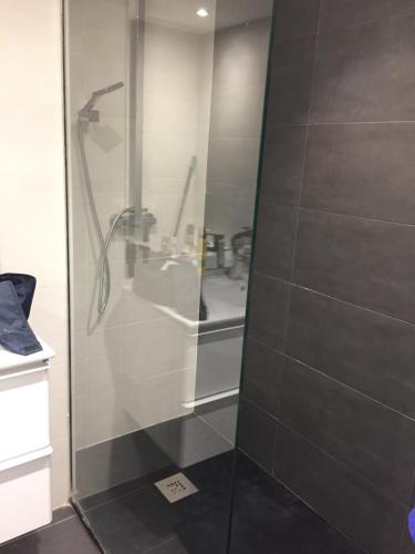 La salle de bains est pourvue d'une douche et d'un lavabo. dans l'établissement Apartamento Vielha, à Vielha e Mijaran