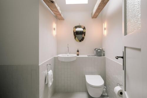 a bathroom with a toilet and a sink at Apartment Alte Schmiede in Saal